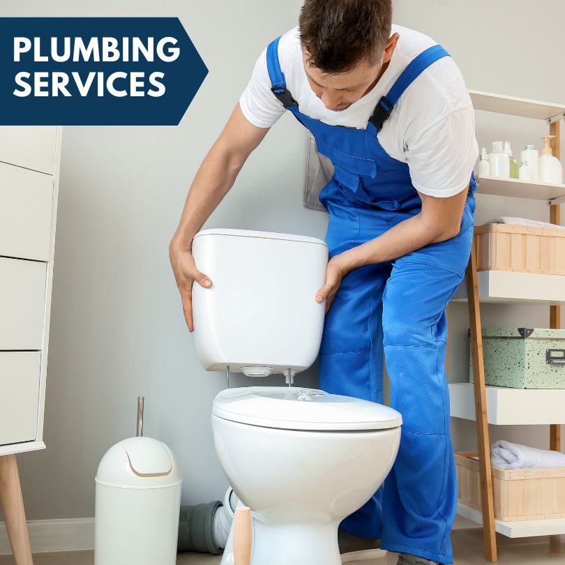 Plumbing Company in Lakeview, NC
